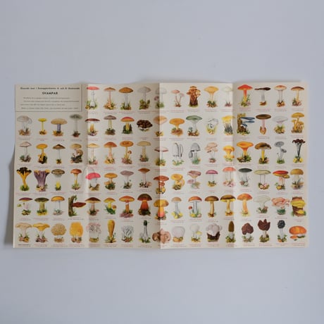 SWEDISH MUSHROOM POSTER