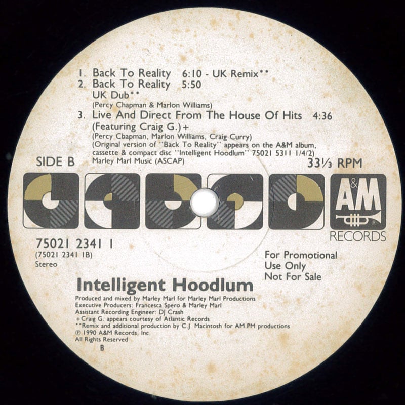 Intelligent Hoodlum レコード 1990年 Intelligent Hoodlum レコード 1990年 Intelligent Hoodlum レコード