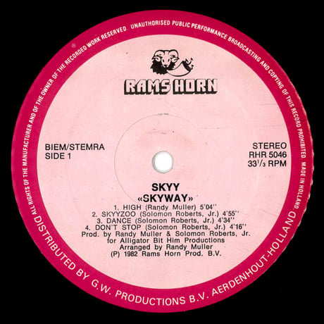 Skyy – Skyway (Netherlands)