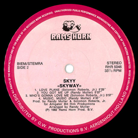 Skyy – Skyway (Netherlands)