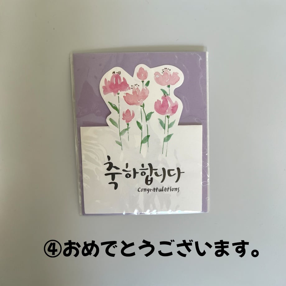 66ed1c9d6d07c10203e21f39