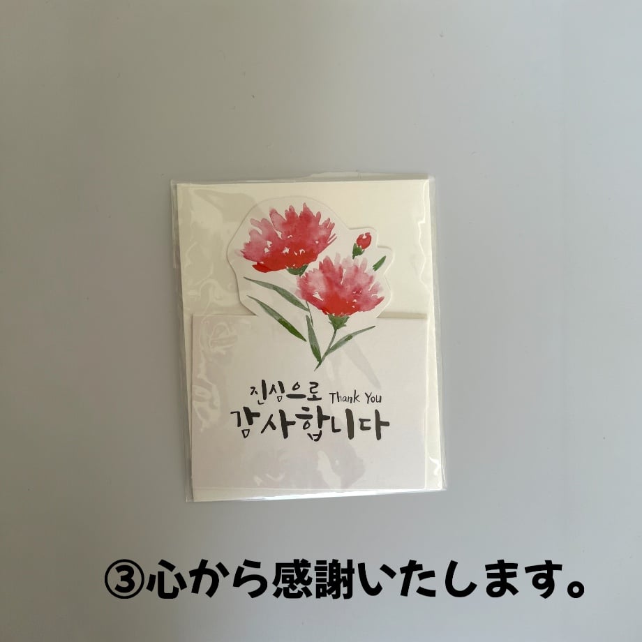 66ed1c9d6d07c10203e21f39