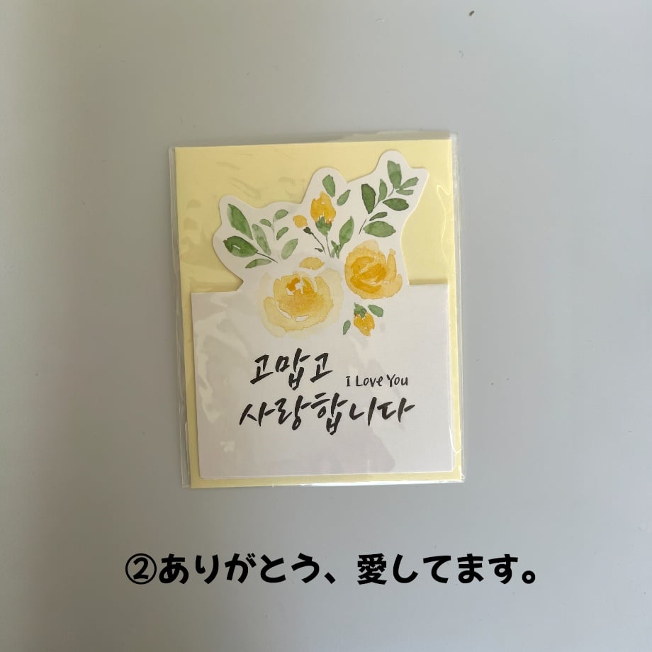 66ed1c9d6d07c10203e21f39