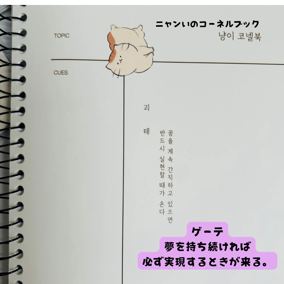 6a18f4e5860b1f20f93af40a