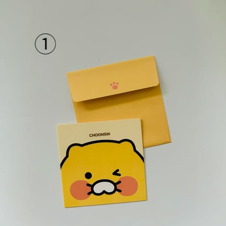 CHOONSIK 춘식이 카트（チュンシギ　ミニカード）