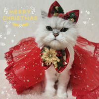 クリスマス3点セット