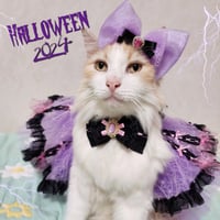 【完売👏】Halloween Party🕸3点セット 【パープルtype】