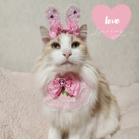 ラブリーbunny💕2点セット