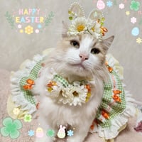 春色🌸Eastar bunny🌈🕊‎🌷3点セット②