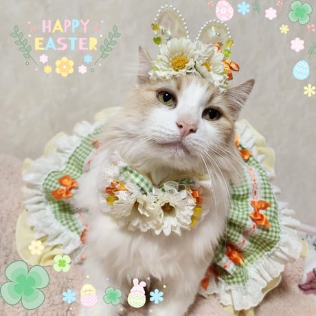 春色🌸Eastar bunny🌈🕊‎🌷3点セット②
