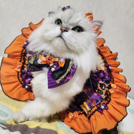 【完売👏】ハロウィンポップ𖤐3点セット