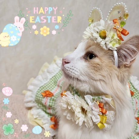 春色🌸Eastar bunny🌈🕊‎🌷3点セット②