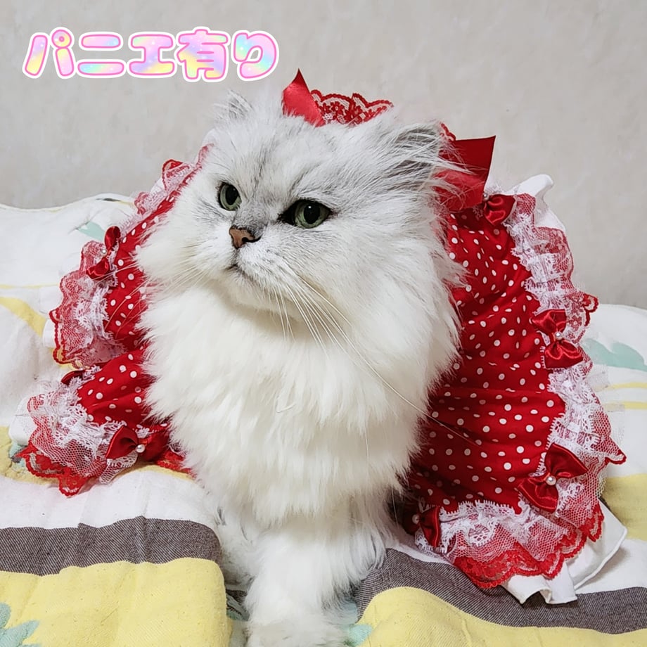 66bca553e70d97058d0ecbd5