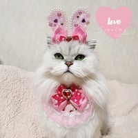 ラブリーbunny💓II 2点セット