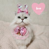 ラブリーbunny💗III 2点セット
