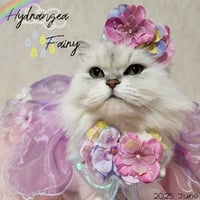 hydrangea Fairy͛💠3点セット