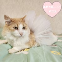 ふわっとパニエ𓂃 𓈒𓏸𑁍‬ホワイト