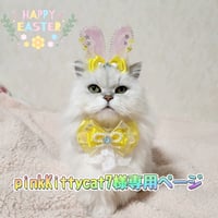 pinkKittycat7様❇️専用ページ