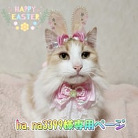 ha.na3399様専用ページ