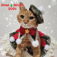 【完売👏】お呼ばれクリスマス🎄グリーン