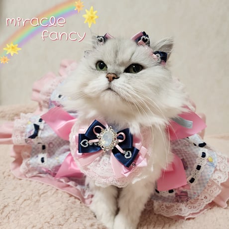 miracle fancy 🦄3点セット