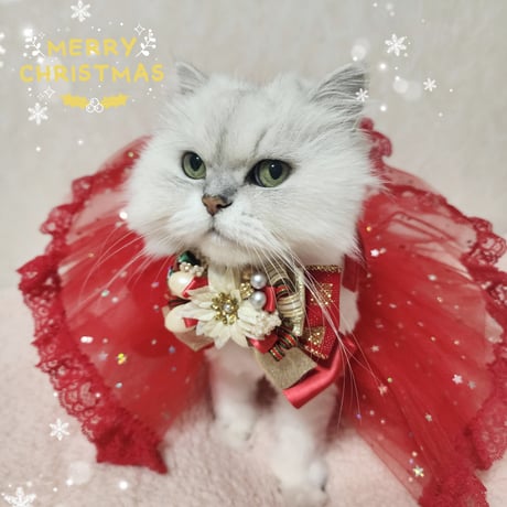 ⚠️【yuki.rin1130様専用ページ】クリスマス2点セット❄