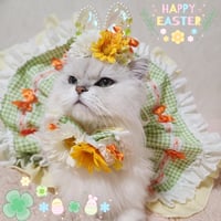春色🌸Eastar bunny🌈🕊‎🌷3点セット
