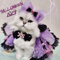 【完売】Halloween Party🕸3点セット 【ピンクtype】