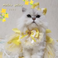 mellow yellow🌻3点セット