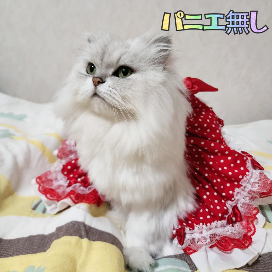 66bca553e70d97058d0ecbd5