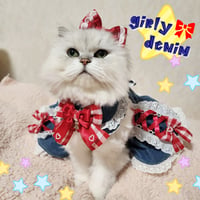 girly🎀denim 3点セット(レース違い)