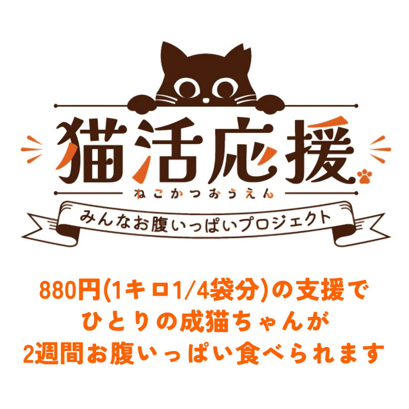 ひろひろ様 リクエスト 2点 まとめ商品 ヒロ様 リクエスト 2点 まとめ