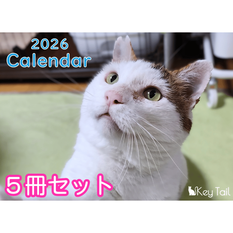 Key作品　特大カレンダー　その他布類　グッズ　まとめ売り YK-805 ふるさとの四季2026年版の名入れカレンダーを格安で販売
