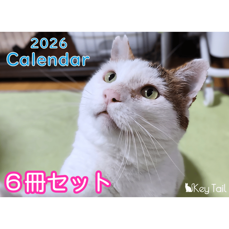 【猫】おまとめ売り2件 猫めくり2026 | 中央経済社／ONDORI ネットストア