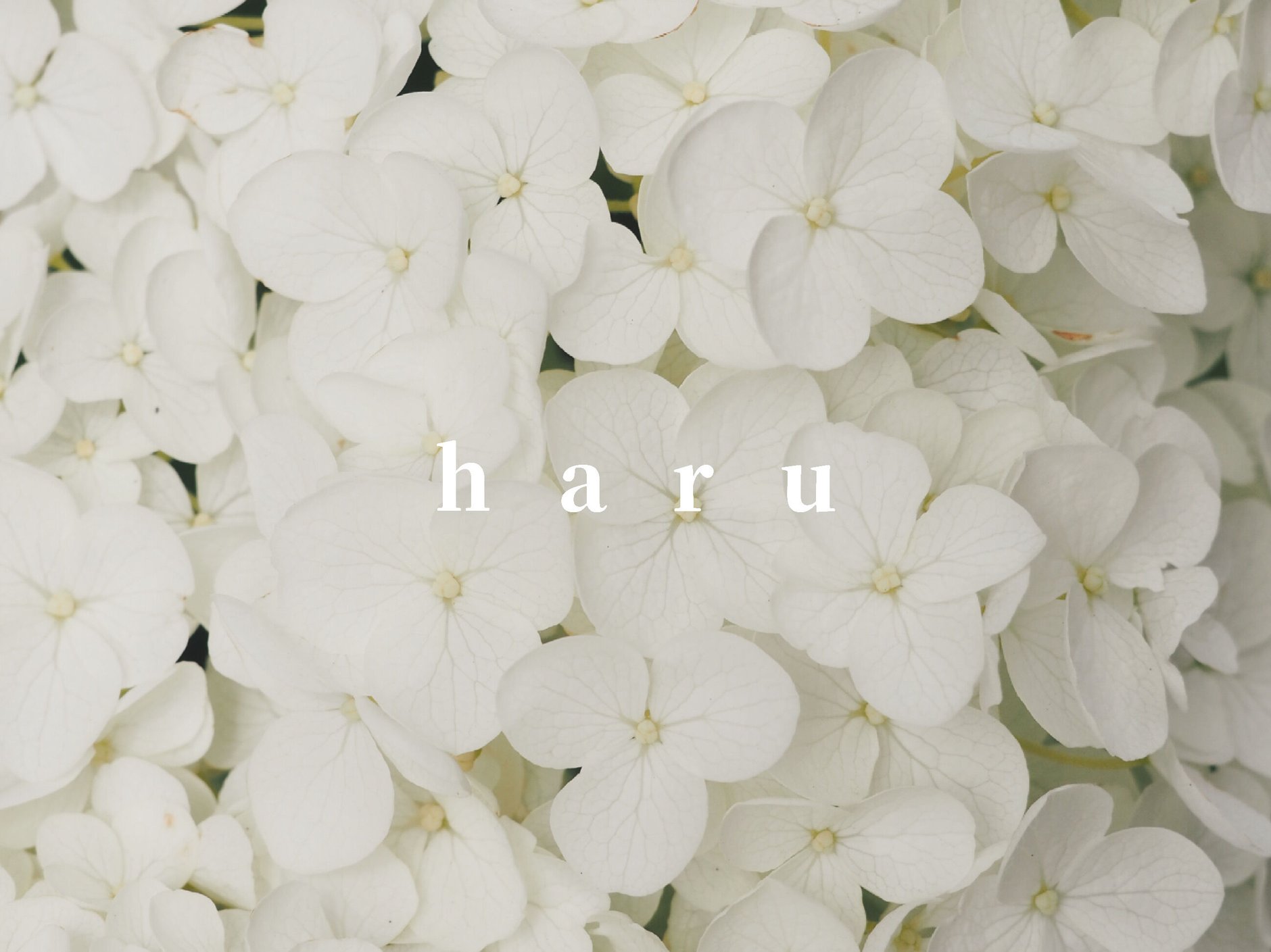 haru