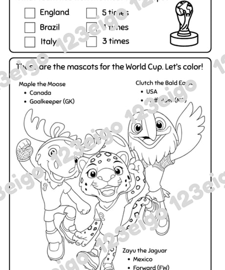 World Cup Set