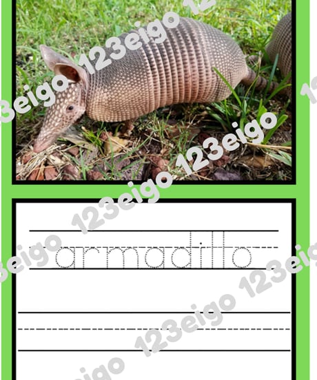 A to Z Animal Handwriting Book