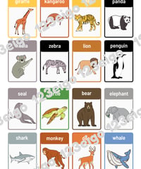 Animal Matching Cards