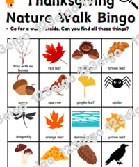 Thanksgiving Nature Walk Bingo