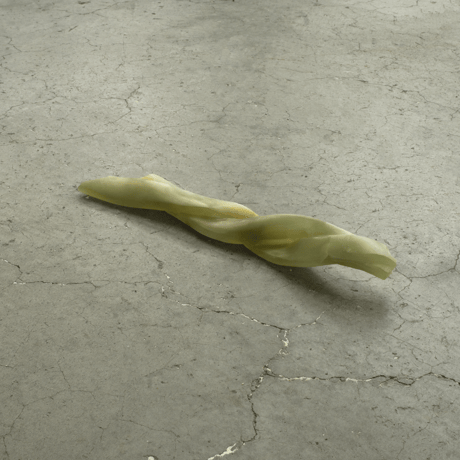 杉内あやの　Ayano Sugiuchi 「てんとち、11のからだ」”Up and Down : Forms of ‘11”