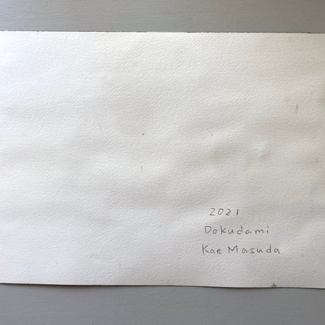 増田佳江　Kae Masuda 「Dokudami」