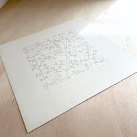 松永悠一郎　Yuichiro Matsunaga 「花たちのささやき」"Whispers of flowers"