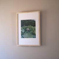 松本のりこ 「ishikawa05  蓮の池」”ishikawa05  Lotus Pond”