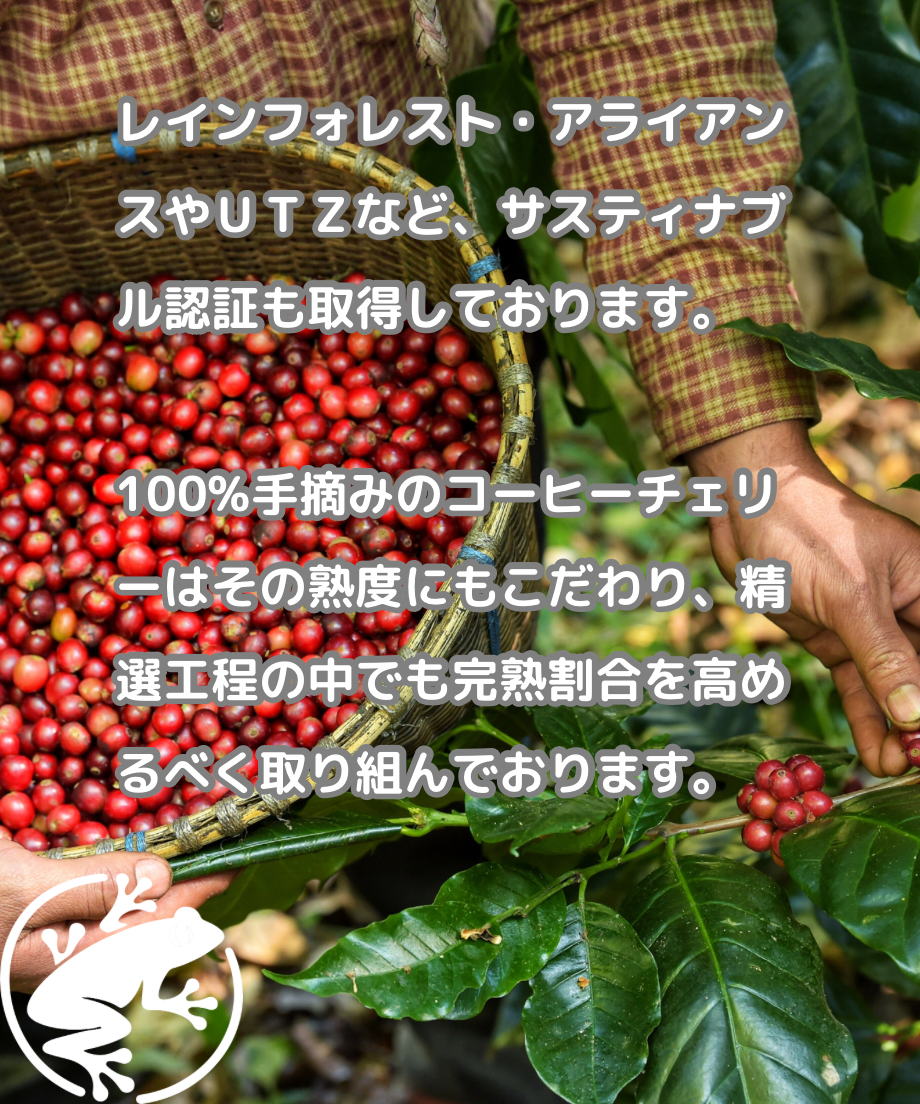 ニカラグア サンタ•アナ農園 深煎り 100g~ | swamp coffee