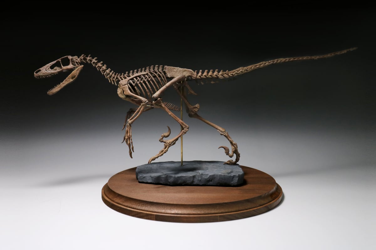 デイノニクス・アンティロプス