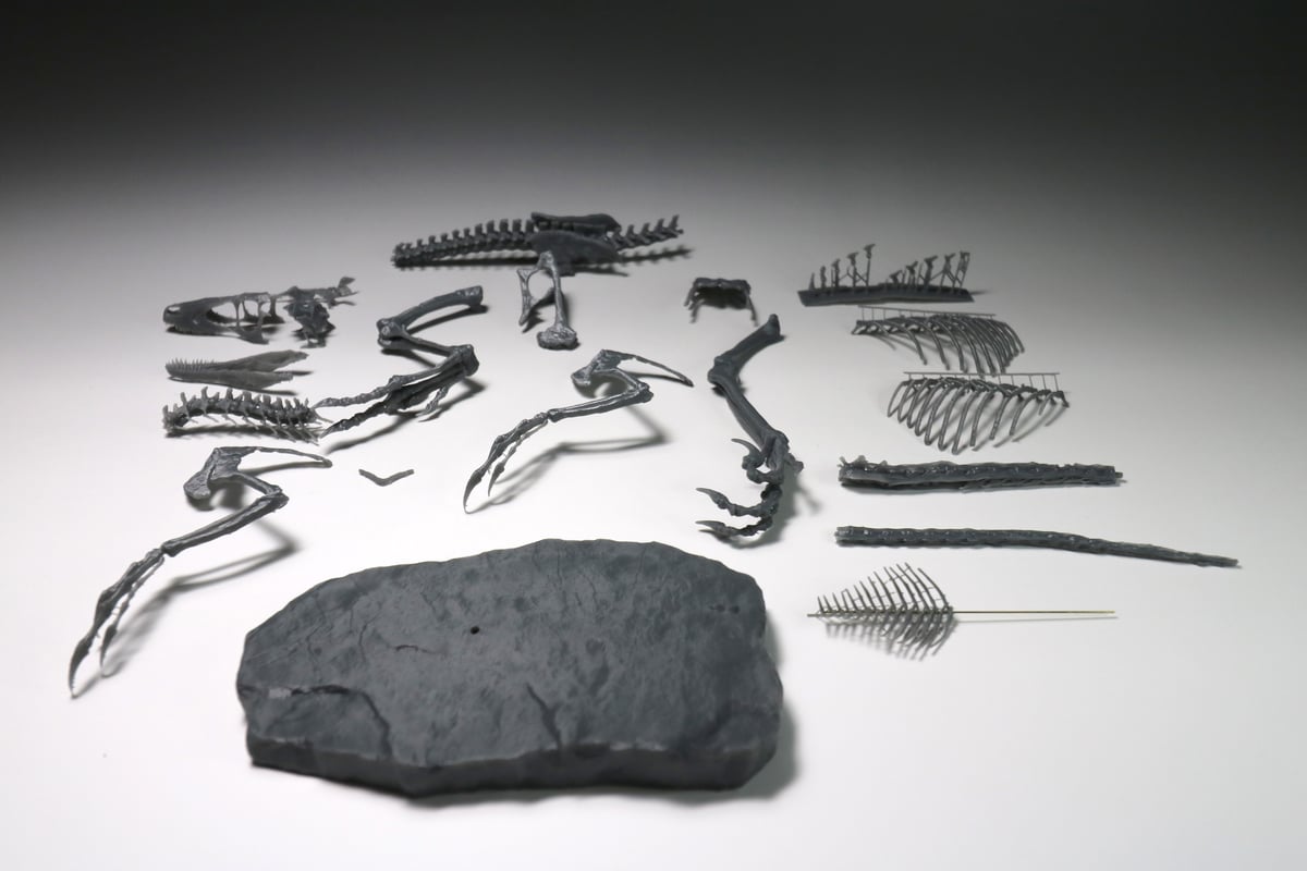 デイノニクス・アンティロプス