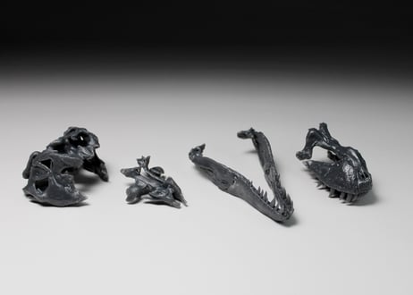 ティラノサウルス・レックス "Sue" スカルモデル 1/20スケール　組立キット