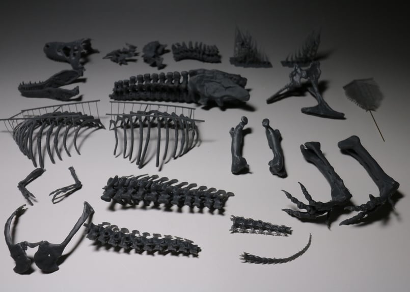 ティラノサウルス・レックス 1/24スケール 組立キット | OSTVINTZ