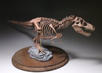 ティラノサウルス・レックス 1/24スケール　組立キット