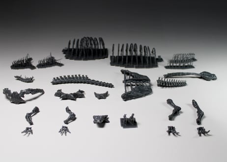 ズール・クルリヴァスタトル 　1/24スケール　組立キット